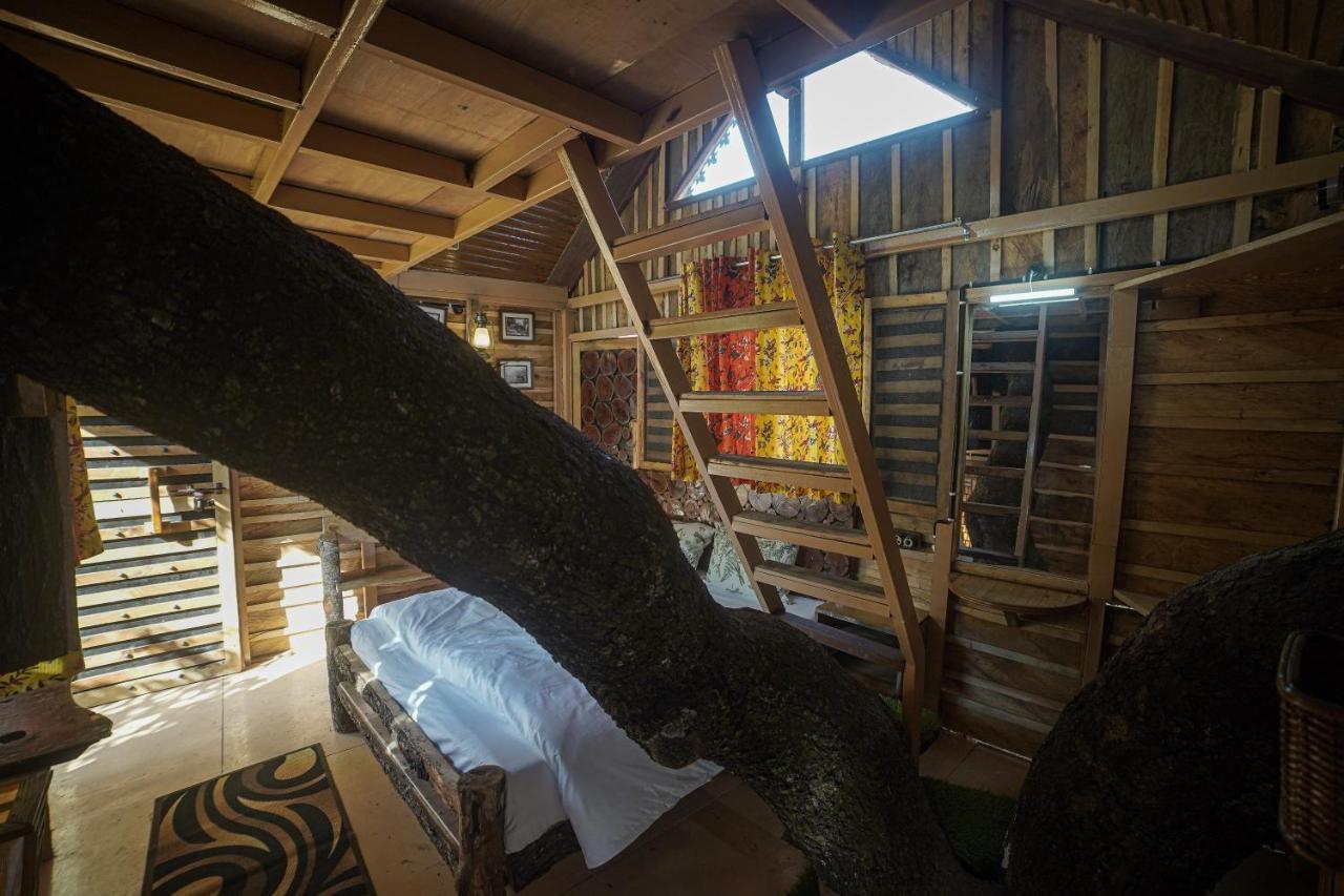 Tiger Fall Eco Resort ชาคราตา ภายนอก รูปภาพ